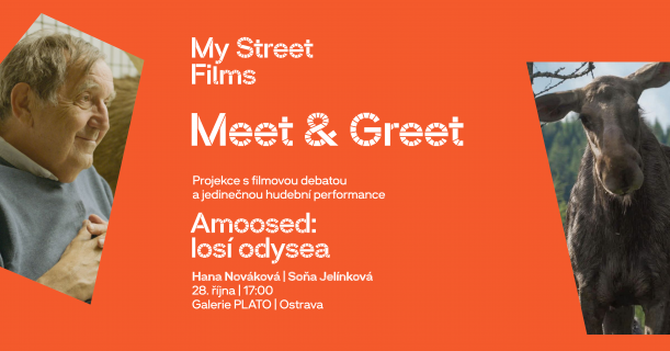 Amoosed - Losí odysea